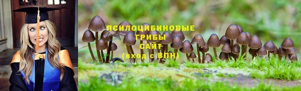 винт Вязьма