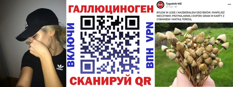 где купить наркотик  Горбатов  Псилоцибиновые грибы MAGIC MUSHROOMS 