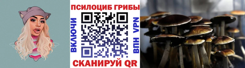 Псилоцибиновые грибы мицелий Горбатов